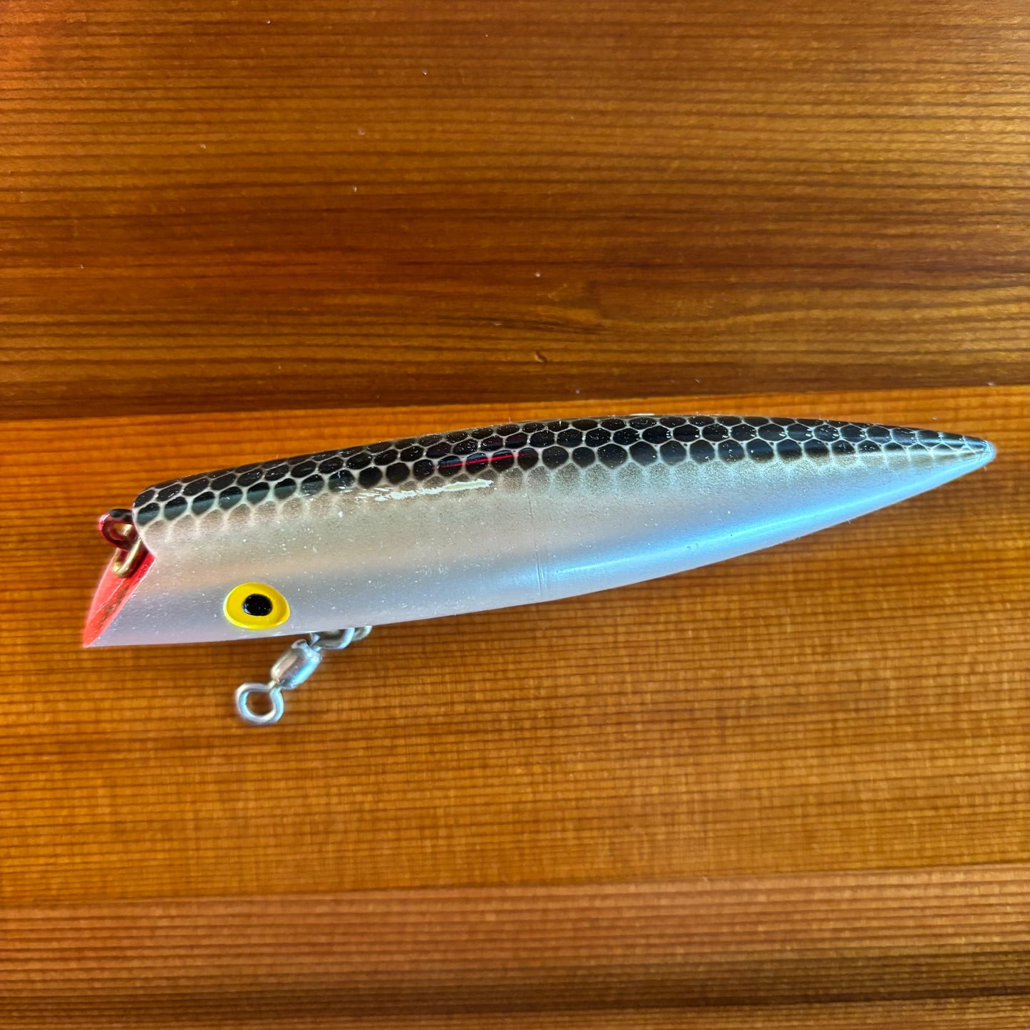 Tomic 6" Classic - #084