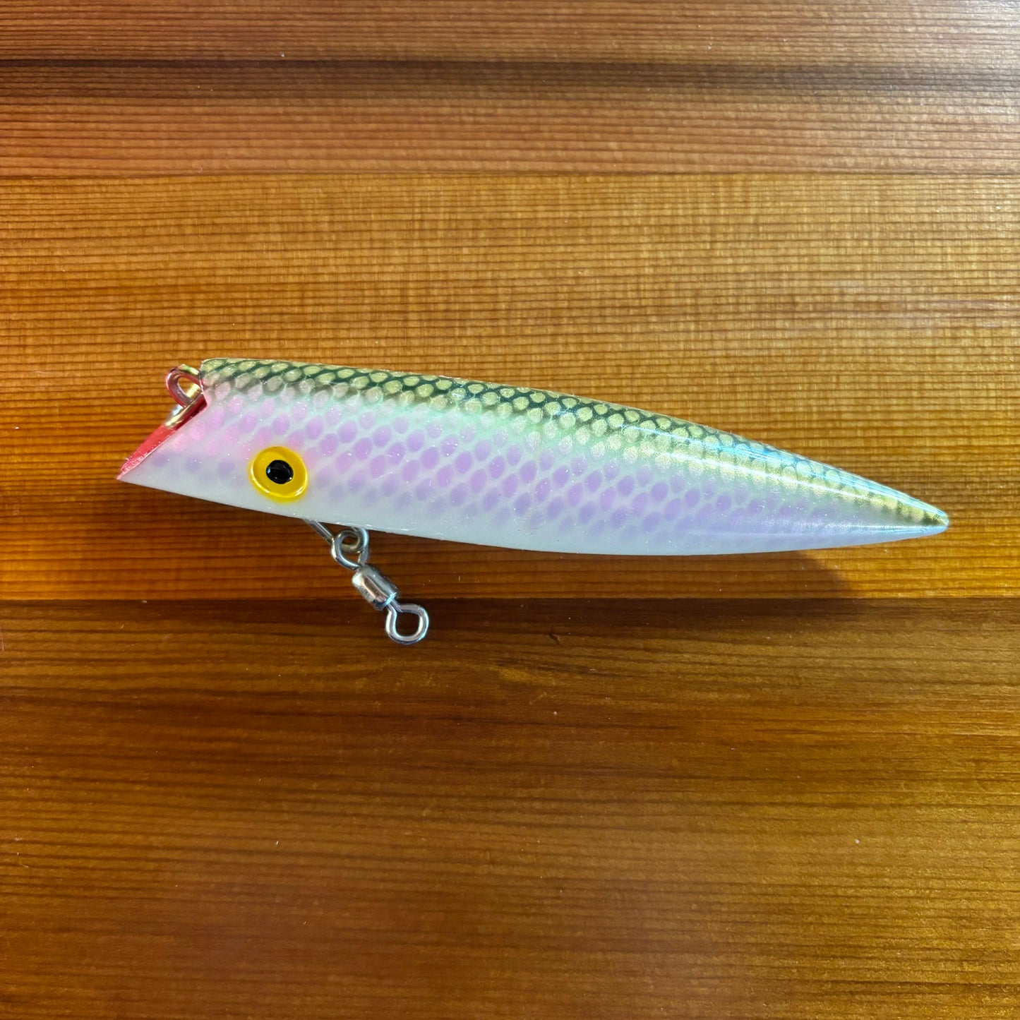 Tomic 5" Classic - #608